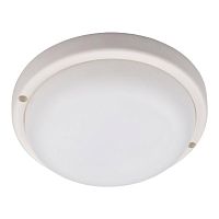 Светильник светодиодный "Банник" PBH-PC7-RA 12Вт 4000К IP65 ЖКХ ДБП white JazzWay 5045941