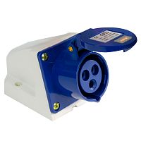 Розетка стационарная наружная TS-113 2P+PE 16А 230В IP44 ЭНЕРГИЯ /Е1001-0010/